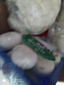 白蘑菇230g 实拍图