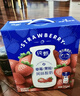蒙牛纯甄草莓果粒风味酸奶211g*10盒 常温酸牛奶 年货礼盒定制装 实拍图