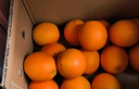 京鲜生 爱媛果冻橙 净重10斤装 单果180g起 生鲜水果柑橘桔子年货礼盒  实拍图
