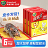绿叶（Green Leaf）粘鼠板6张装超强力粘板老鼠贴灭鼠老鼠神器GL1005 实拍图