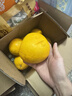 京鲜生 爆汁黄金葡萄柚 净重5斤 单果300g起 生鲜年货水果    实拍图