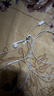 【准新品】Apple/苹果 USB-C接口有线耳机type-c接口有线耳机苹果耳机 苹果17有线耳机笔记本耳机游戏音乐   实拍图