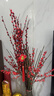 京东鲜花特级【北美冬青A级】5枝新春年宵花红发财果招财鲜枝基地源头直发 实拍图