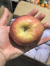 京鲜生 新疆阿克苏冰糖心苹果 净重9斤 果径75mm 新鲜水果 实拍图