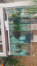 森森 超白玻璃小鱼缸HWK-600P裸缸款水草缸金鱼缸小型水族箱水草缸  实拍图