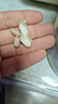 沙土吊炉花生多种口味带壳小珍珠吊炉烤花生果山东休闲零食家庭实惠装 5斤椒盐味小珍珠花生 实拍图