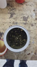 一杯香茶叶茉莉花茶飘雪特级250g2025新茶过年货礼盒装茉莉绿茶自己喝 实拍图