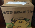 金豆芽金银花柚子汁儿童零食饮料饮品小孩果汁年货礼盒100ml*22袋 实拍图