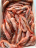 美加佳头籽熟冻北极甜虾净重3斤 规格80/100 头籽率50% 熟冻 年货送礼 实拍图