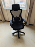 锦汐 电脑椅家用办公椅子靠背人体工学椅学习转椅老板座椅游戏电竞椅 【可后躺】黑框黑网 实拍图