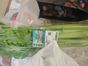 有机芹菜（西芹）400g 实拍图