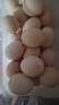 京鲜生可生食标准鲜鸡蛋30枚礼盒装3斤 源头直发 实拍图