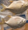 1号会员店（One's Member）甄选海南二去金鲳鱼 700g/2条装 去鳃去内脏 生鲜 鱼类 海鲜水产  实拍图