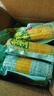 精品有机黄糯玉米 花糯玉米彩糯新鲜糯玉米真空装包 【有机认证】黄糯玉米8支 单棒均重＞200g 实拍图