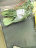 上海青约500g(油菜) 实拍图