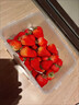 京觅 丹东草莓99红颜奶油水果礼盒生鲜 净重1斤装 单果20-30g源头直发 实拍图