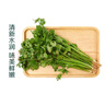 带根香菜100g 实拍图