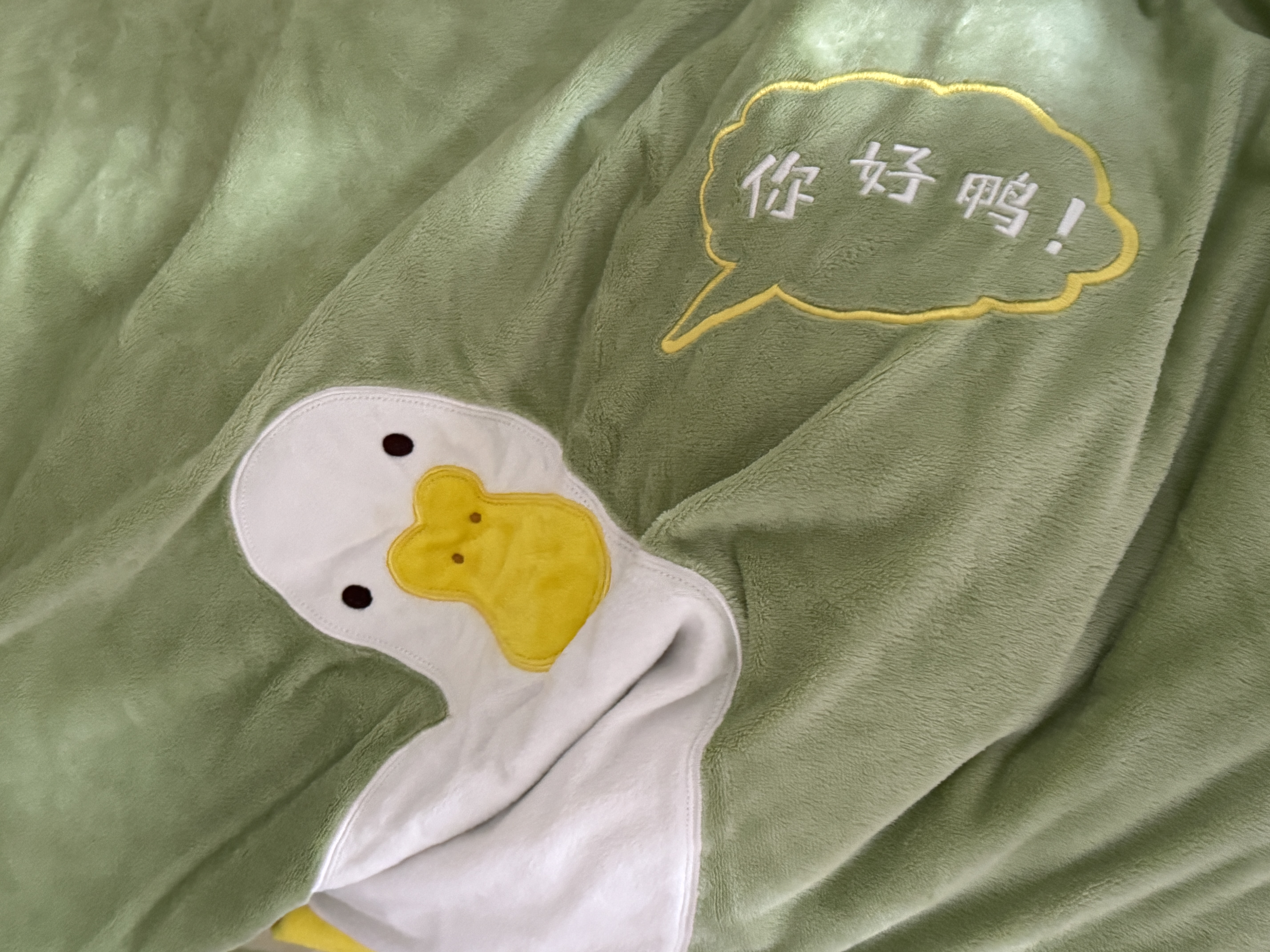 LOVO罗莱 法兰绒牛奶绒四件套 A级抗静电加厚床单被套220*240cm 实拍图