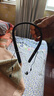 邦力健围脖式助听器老年人重度耳聋专用体佩式助听器【年货送长辈】N15 晒单实拍图