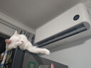 小米 空调 米家 巨省电双排款 1.5匹一级能效 内外机双排铜管 空调挂机35GW-PG15/N1A1 整机十年质保 实拍图