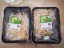 【24小时菜】富硒绿豆芽200g 实拍图