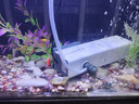 森森 小鲤鱼缸过滤器净水循环三合一内置水族箱过滤系统XQP-500F 6W 实拍图