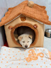 阿柴与猫封闭式猫窝大房子小型犬狗窝睡觉猫狗屋可拆洗四季通用宠物窝 实拍图