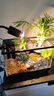 爬将军 乌龟缸特大号 玻璃造景晒台草龟大型养龟箱盆别墅家用生态龟缸 30cm缸【餐三】双流水晒台13件套 实拍图