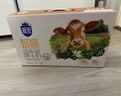 三元极致娟姗纯牛奶整箱250ml*10盒 年货礼盒【新老包装随机发货】 实拍图