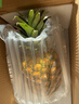 佳农 菲律宾进口菠萝 2个装 凤梨 单果净重2斤 生鲜水果源头直发 包邮 实拍图