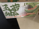 京鲜生 玉菇甜瓜 2粒装 单果重2-2.8斤净重4-5.5斤 生鲜水果礼盒 实拍图