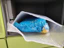 金龙鱼盘锦大米蟹稻共生蟹田米东北大米2.5kg 5kg*1袋 实拍图