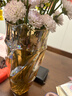 墨斗鱼花瓶轻奢水晶质感玻璃大号高级感生日礼物插花水养摆件新年送礼物 实拍图