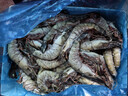 鲜京采 鲜冻大号黑虎虾 去冰净重2斤 31-40只/盒 斑节对虾 实拍图