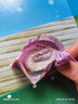 网红芋泥牛奶泡芙雪媚娘糯米糍粑麻薯糕点解馋小零食休闲食品小吃 芋泥牛奶泡芙360g*4箱 实拍图
