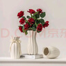 京东鲜花简约陶瓷花瓶电视柜桌面摆件家居饰品客厅插花干花鲜花水养高级感 实拍图