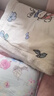 范爷家牛奶绒毛毯午睡盖毯办公室空调毯午休小毯子冬季羊羔绒被子加厚 实拍图