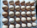 京鲜生柴鸡蛋30枚 3斤 无抗生素 谷物喂养鲜鸡蛋 源头直发 实拍图