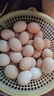 1号会员店可生食鸡蛋30枚净重3.6斤精选大码蛋礼盒装 源头直发 实拍图