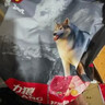力狼（LILANG）狗粮成犬中大型犬通用拉布拉多金毛阿拉斯加法斗德牧马犬专用犬粮 【经典】成犬专用20kg40斤 实拍图