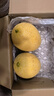 京鲜生 黄金哈密瓜 2粒 单果2.5斤起 净重6-8斤 生鲜水果年货礼盒 实拍图