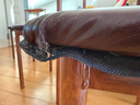 餐椅现代简约网红牛角椅餐厅咖啡厅餐桌椅子北欧轻奢靠背凳子卧室  （摩卡色软皮）田园胡桃铁架 实拍图