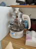 金灶（KAMJOVE） 养生壶煮茶器喷淋式煮茶炉白茶壶黑茶壶办公室家用蒸汽煮茶壶1L 白色 1L 实拍图