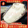 蜀皇 乳山生蚝鲜活大海鲜5斤净重4XL(9-13只)只源头直发包 邮 实拍图