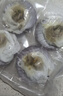 獐子岛 冷冻蒜蓉粉丝扇贝 净重600g 18只 烧烤食材 生鲜 海鲜水产  实拍图
