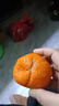 酸甜云南新鲜青橘孕妇青皮当季无籽橘子桔子薄皮水果多汁一整箱 带箱2斤50-60mm 实拍图