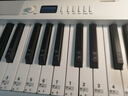 特伦斯折叠钢琴88键便携式电钢琴成人儿童电子琴重力度键盘V30pro钢琴 时尚白+专用琴包+Z琴架 实拍图