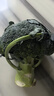 轻食西兰花绿色花菜花椰菜减脂低卡新鲜蔬菜产地批发 新鲜青花带箱4斤【西兰花】 实拍图