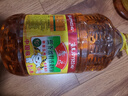 鲁花 【保真菜籽油】食用油 低芥酸特香菜籽油 6.18L   物理压榨 实拍图