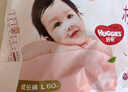 好奇（Huggies）铂金装小桃裤纸尿裤XL96片(12-17kg)加大号尿不湿透【透爽散热】 实拍图